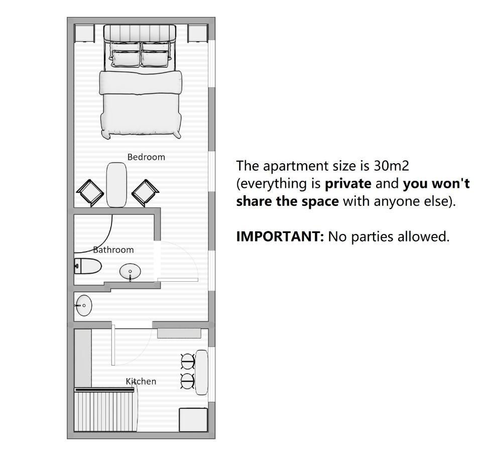 Aparthotel 3 ,, Cosy House Studio" & Parking 考纳斯 外观 照片